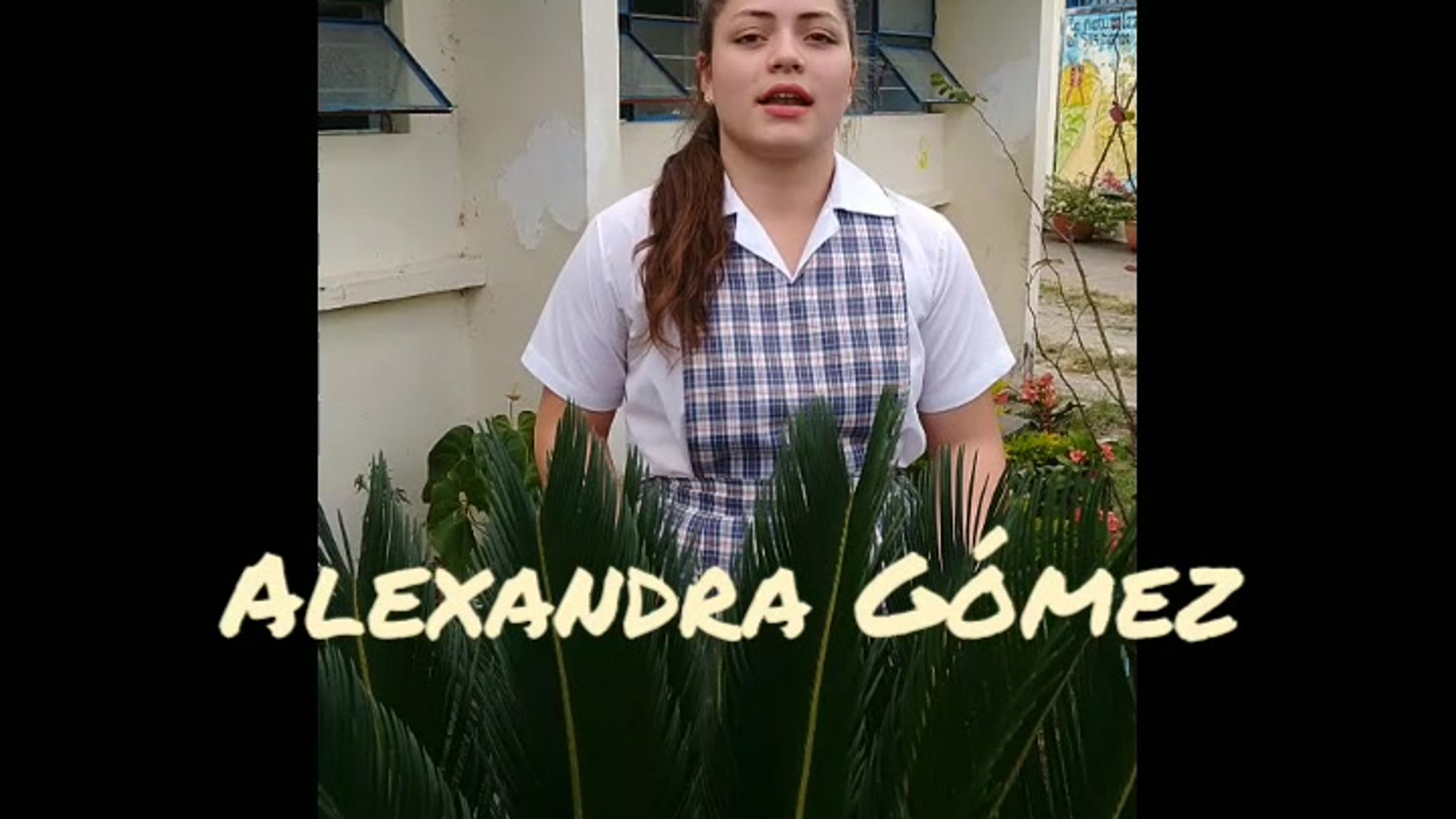 InShot_20190823_225239832